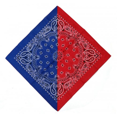 Paisley Bandana