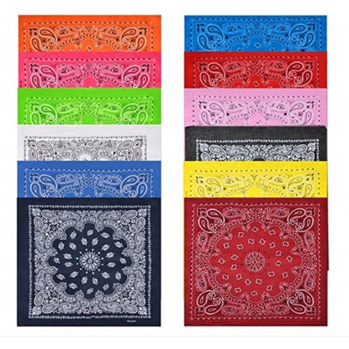 Paisley Bandana